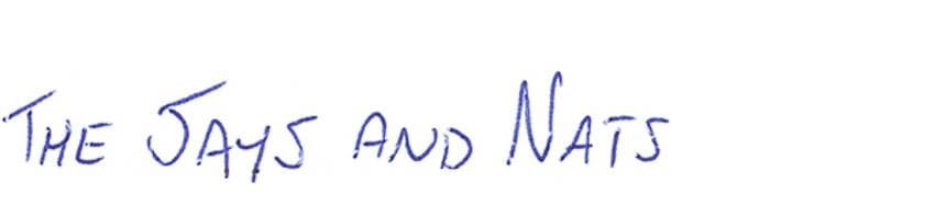 Visa Presents: Player Q&A with Braden Holtby