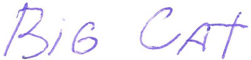 Player Q&A | Andrei Vasilevskiy