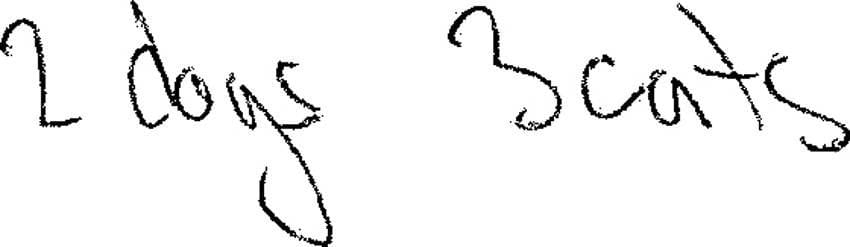 Player Q&A | Juraj Slafkovský