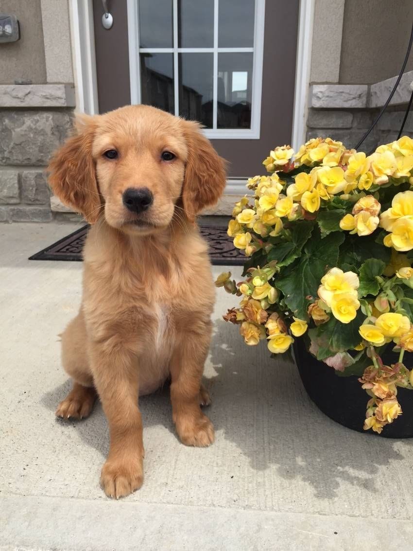 My Top 5 | Ben Chiarot