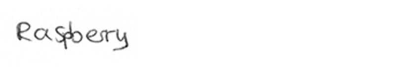 Player Q&A | Tim Stützle