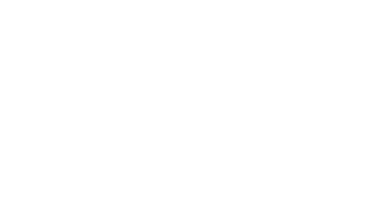 Fanatics logo white