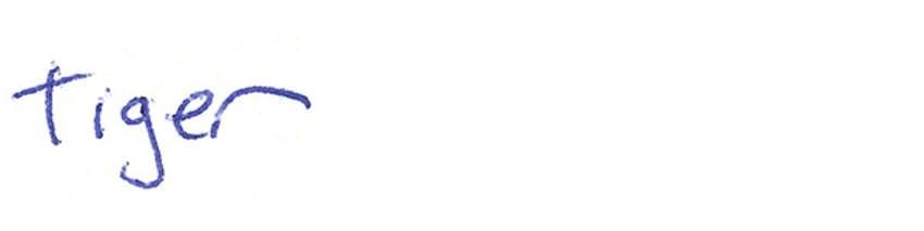 Visa Presents: Player Q&A with Nicklas Backstrom