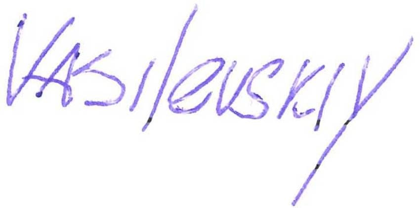 Player Q&A | Andrei Vasilevskiy