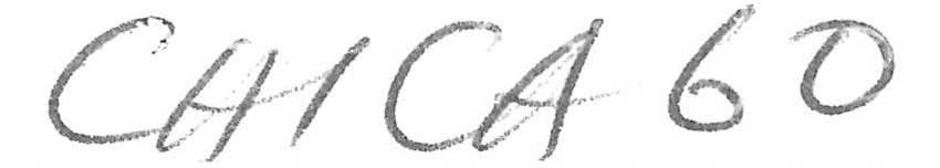 Player Q&A | Jan Rutta