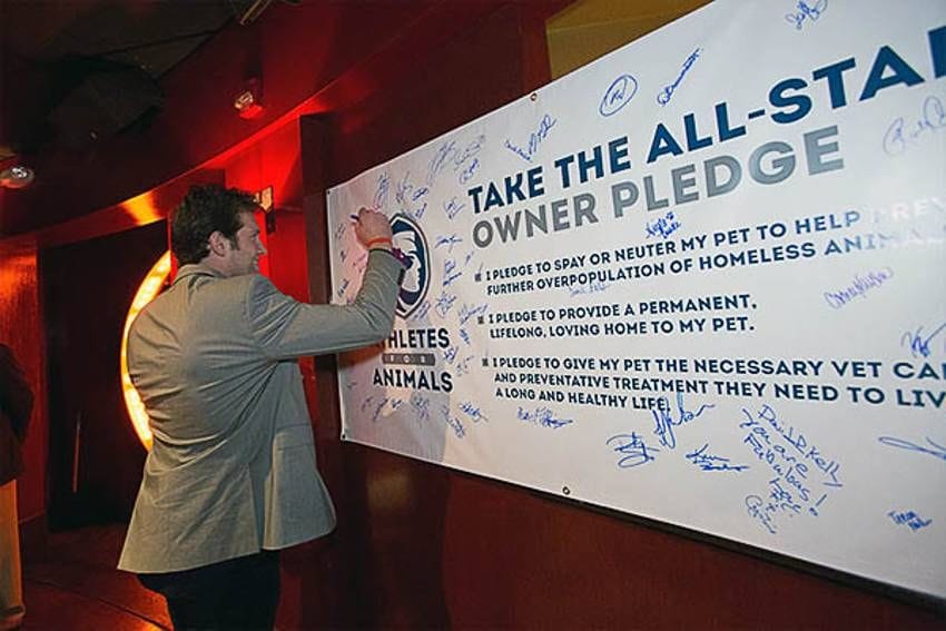 A4A Not Just A Pet Project For Backes