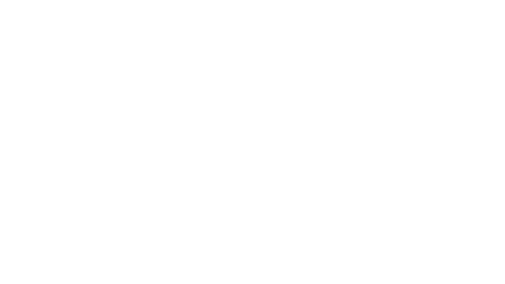 WinCraft logo white