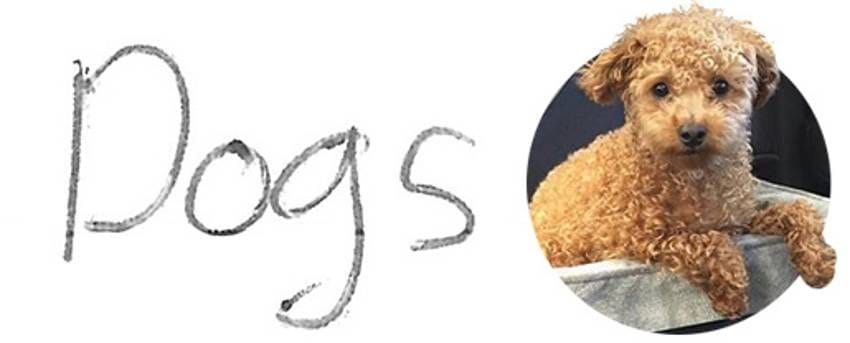 Player Q&A | Claude Giroux